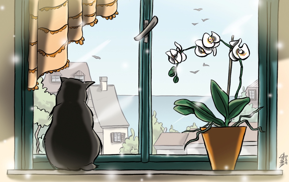 La gabbianella e il gatto - Pagina Blog